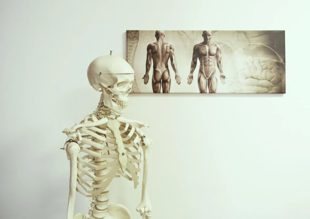 Physikalische Therapie
